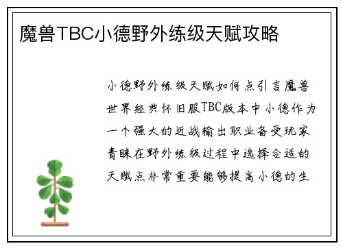 魔兽TBC小德野外练级天赋攻略